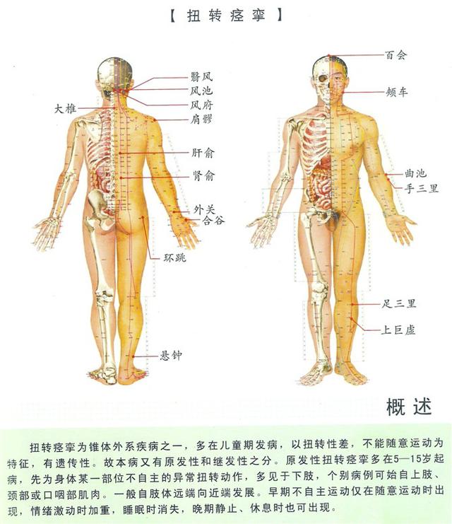 八字经络疗法