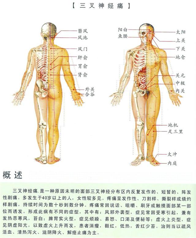 八字经络疗法