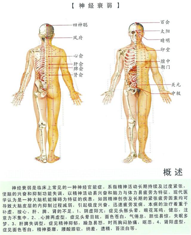 八字经络疗法