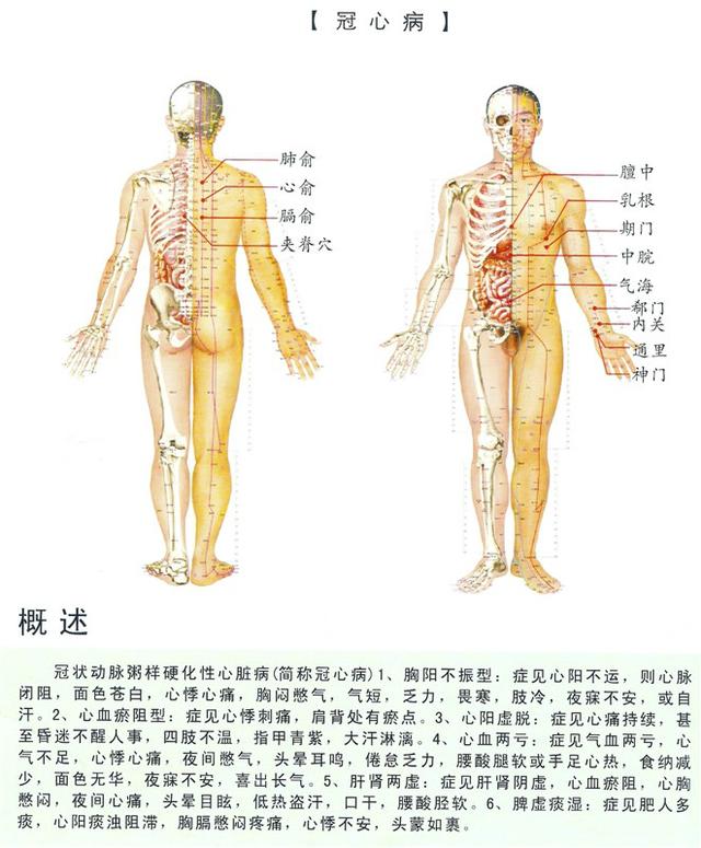 八字经络疗法