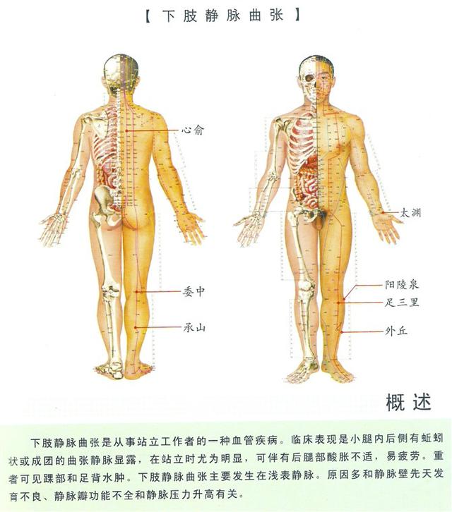 八字经络疗法