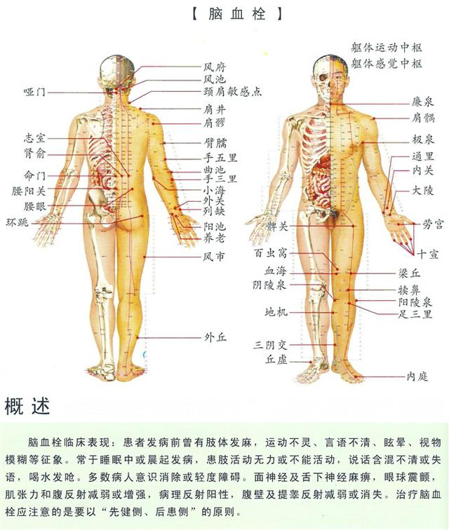 八字经络疗法