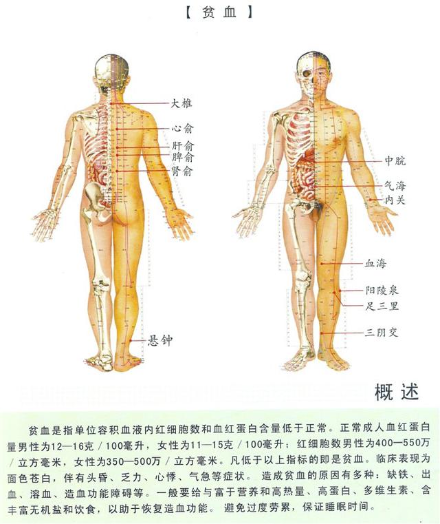 八字经络疗法