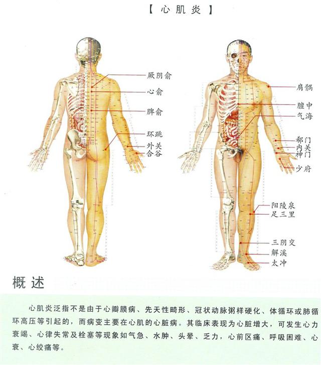 八字经络疗法