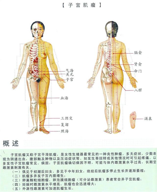 八字经络疗法