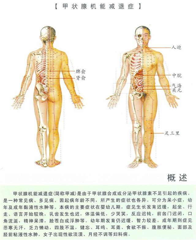 八字经络疗法