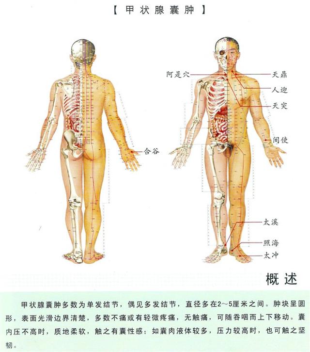 八字经络疗法