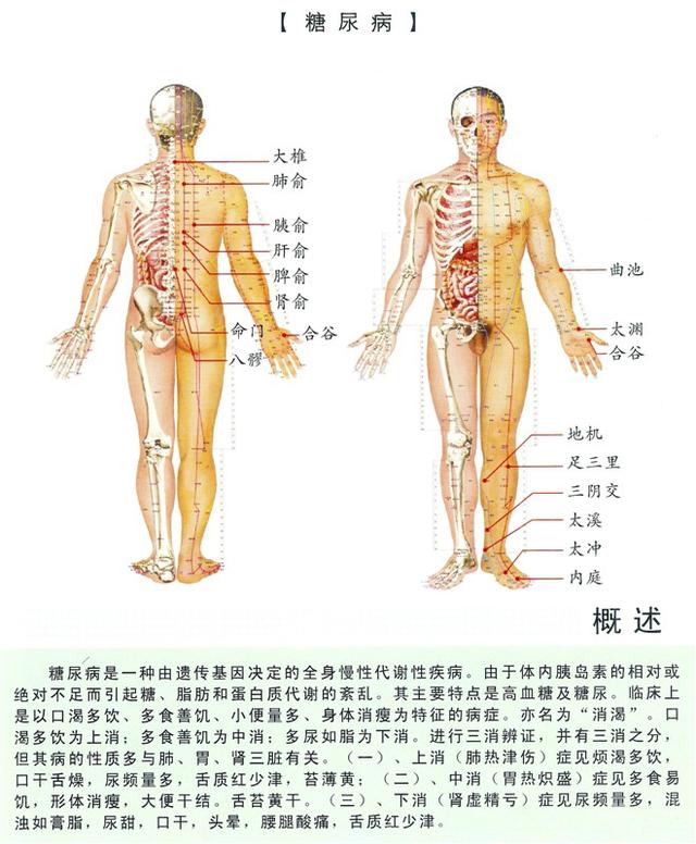 八字经络疗法