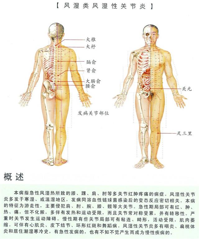 八字经络疗法