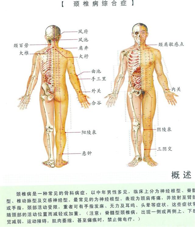 八字经络疗法