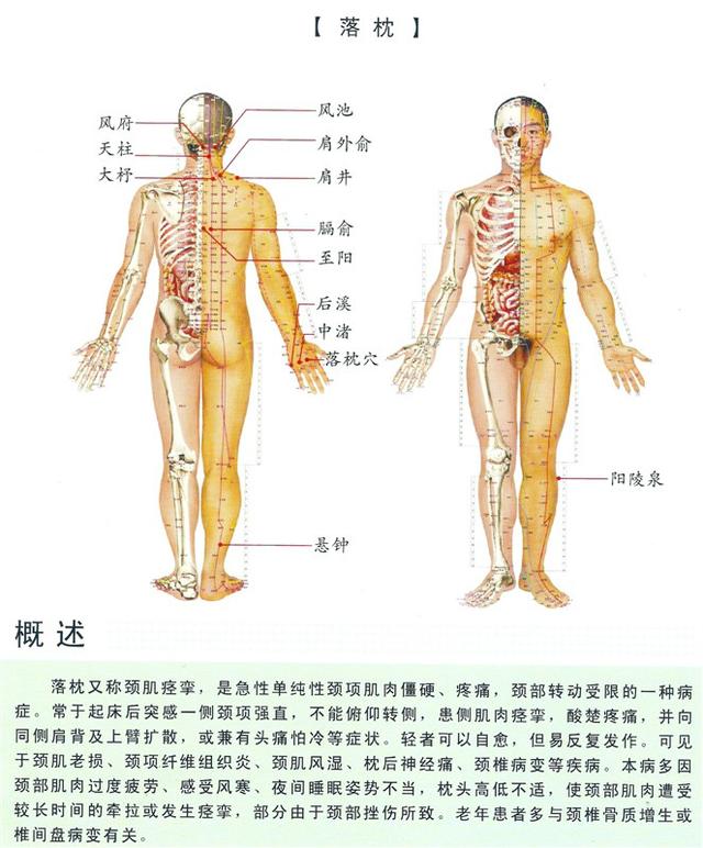 八字经络疗法