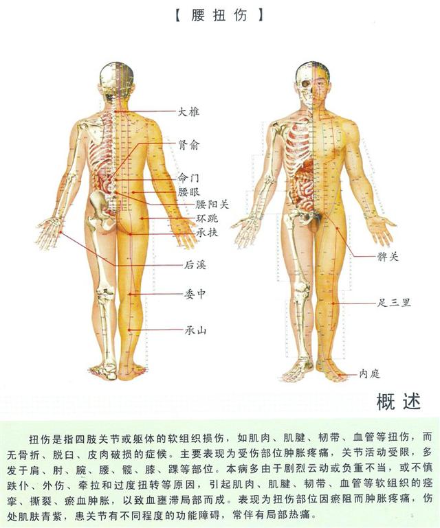 八字经络疗法