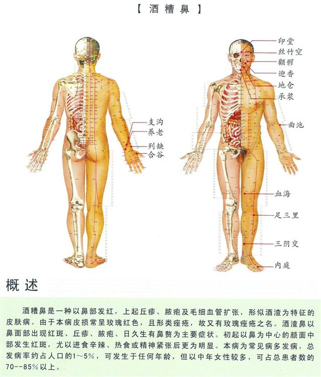 八字经络疗法