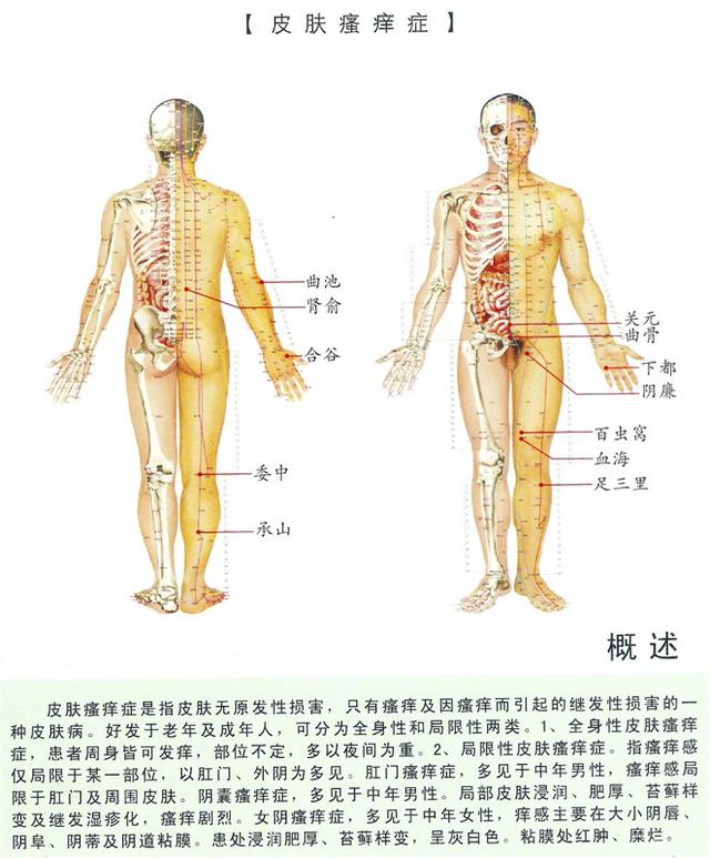 八字经络疗法