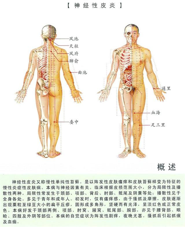 八字经络疗法