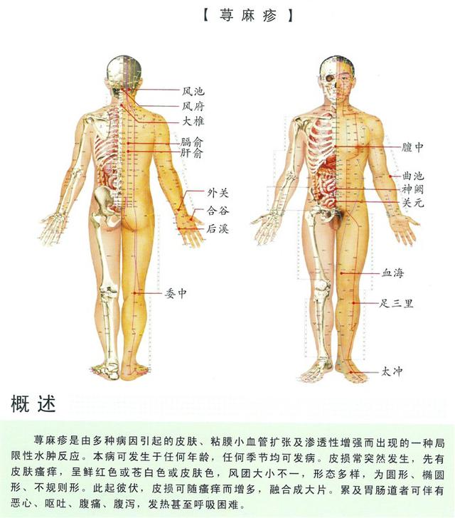 八字经络疗法