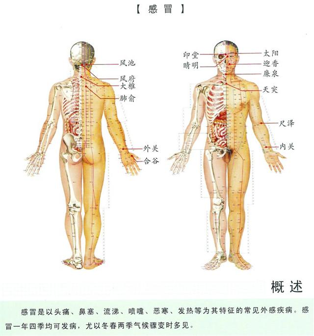 八字经络疗法