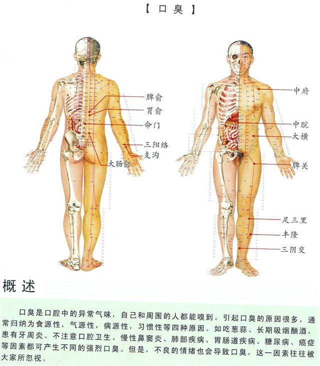 八字经络疗法