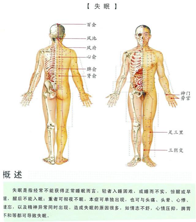 八字经络疗法