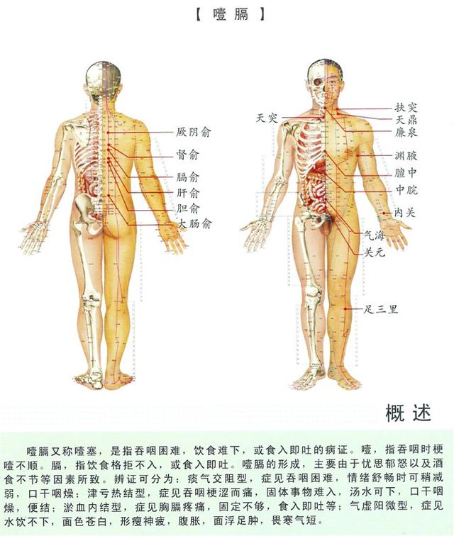 八字经络疗法