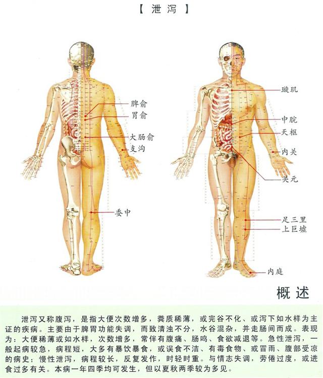 八字经络疗法