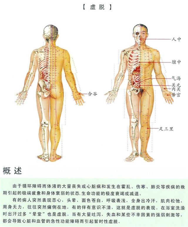 八字经络疗法