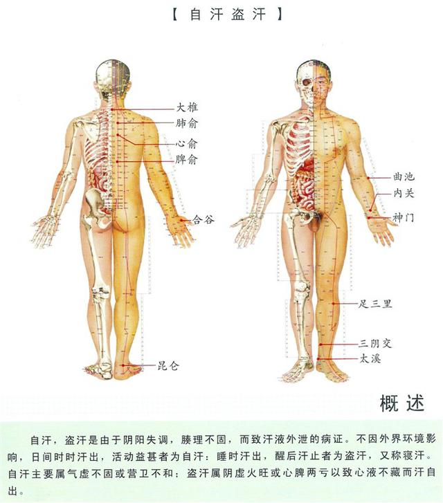 八字经络疗法