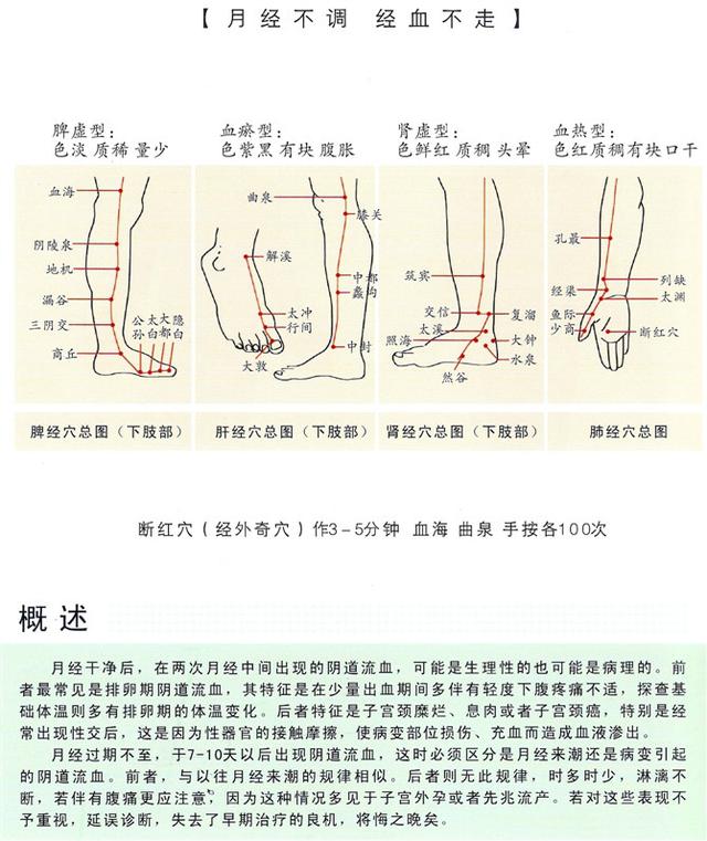 八字经络疗法