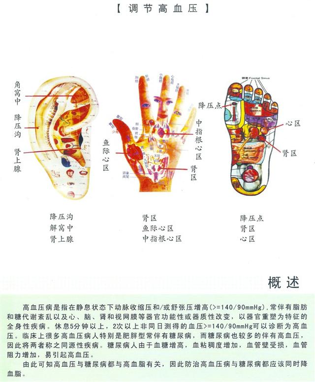 八字经络疗法