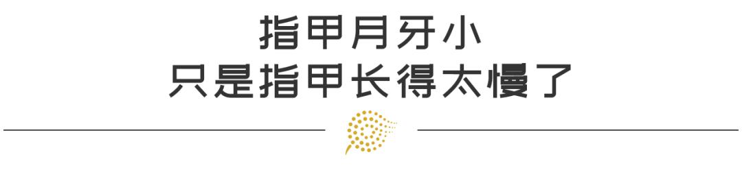 算命网免费算命大全看手相