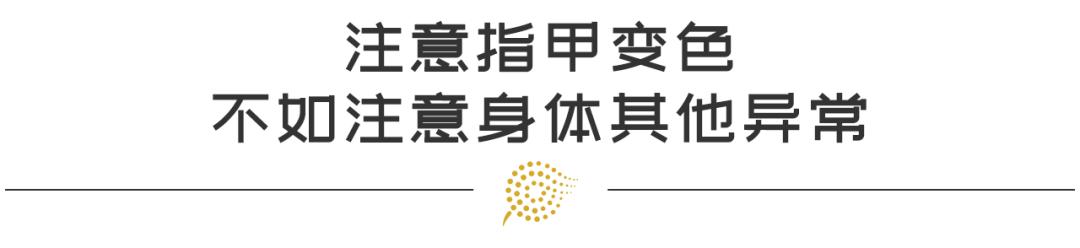 算命网免费算命大全看手相