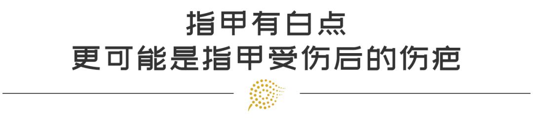 算命网免费算命大全看手相