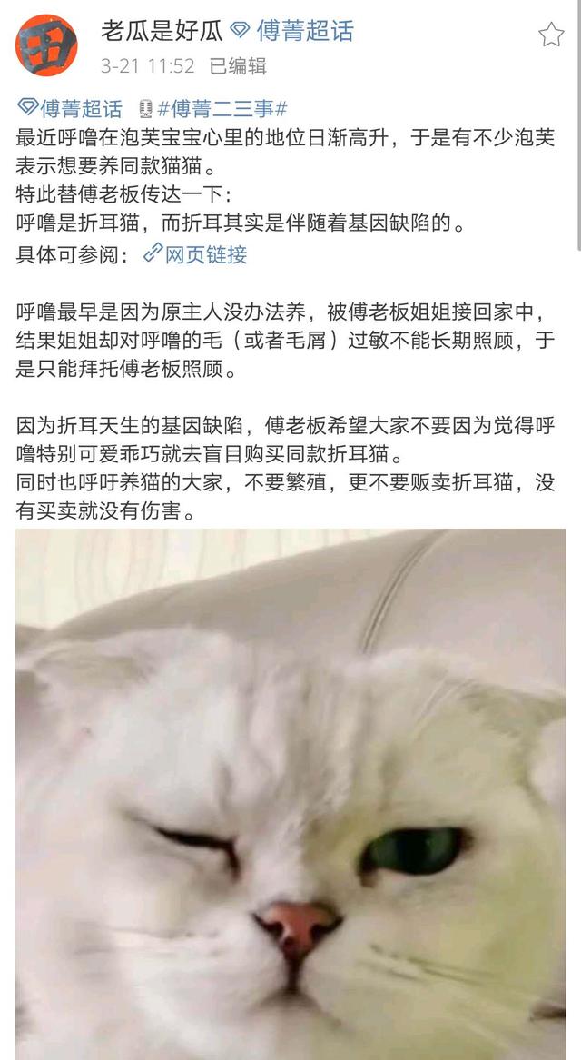 权志龙八字算命百度云