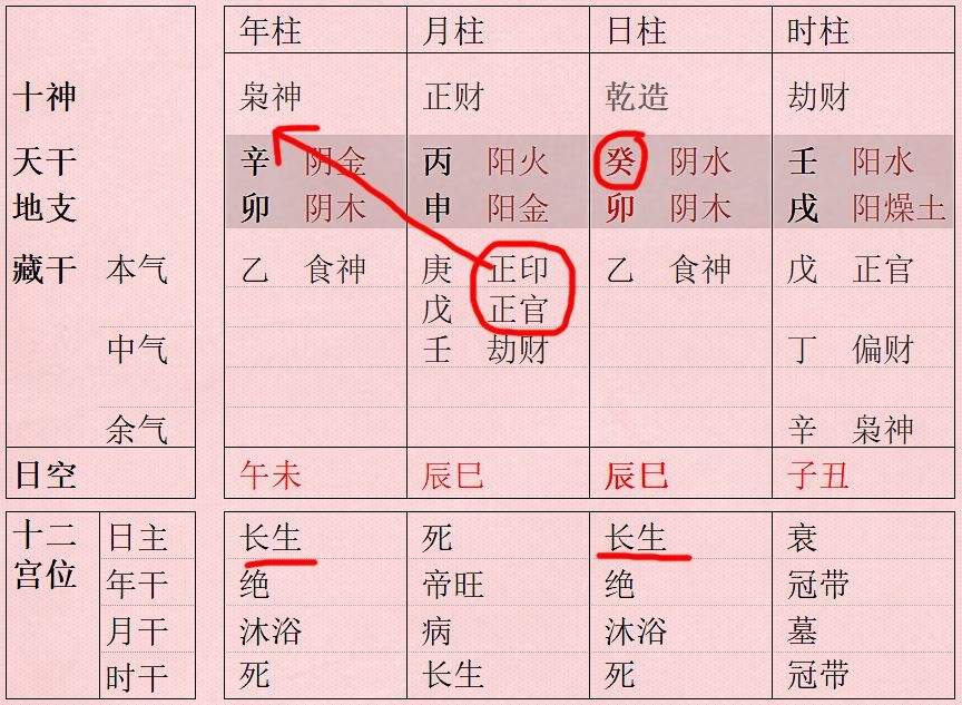 八字免费职业 八字免费排盘