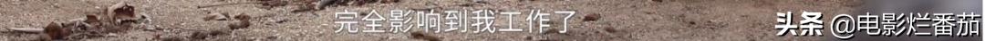 八字有钱女豆瓣