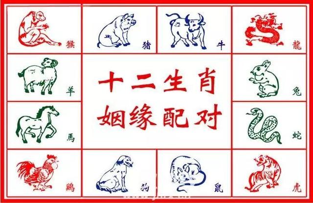 猴和马八字相克吗