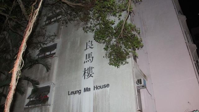 蓝洁琼八字