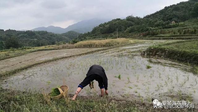 湖北大悟八字沟