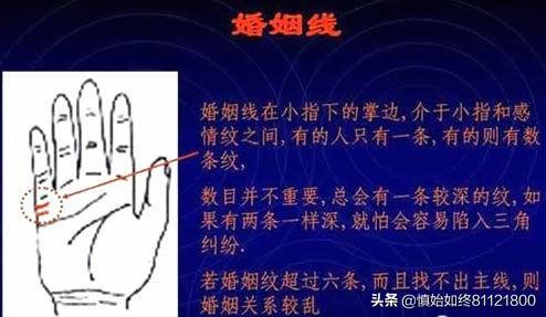 免费掌相算命网站