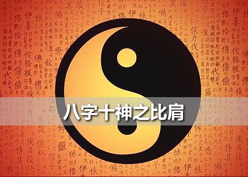 八字同遇合和刑 地支合冲刑害图