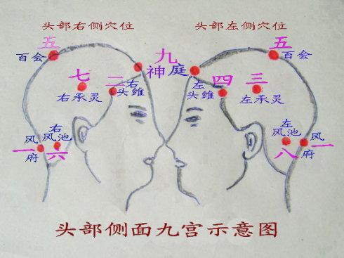 八字疗法头部对应图