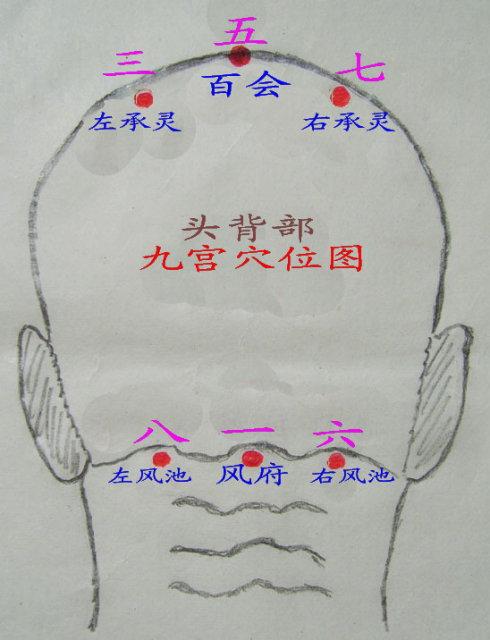 八字疗法头部对应图