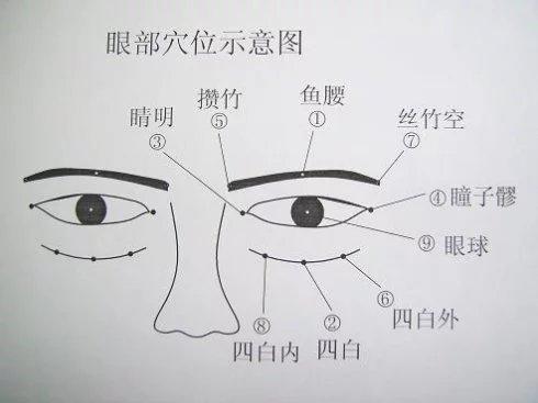 八字疗法头部对应图