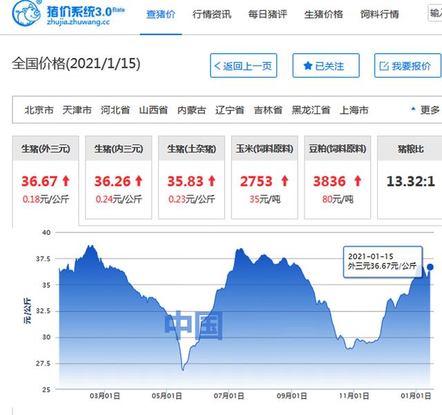 猪年运势免费测算