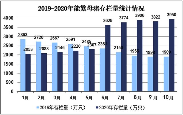 猪年运势免费测算