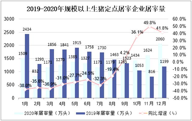 猪年运势免费测算