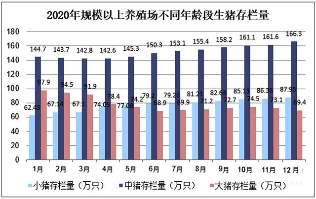 猪年运势免费测算