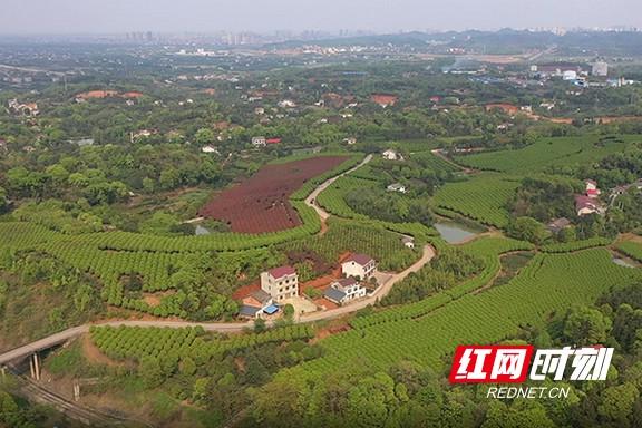 益阳市八字哨白频湖