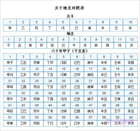 八字中的地支查询 八字中的地势是什么