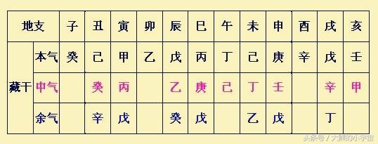 八字乙生寅月